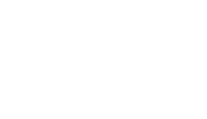 logo sebrae